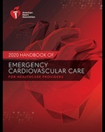 cover image of 2025_Test Regression ePub